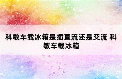 科敏车载冰箱是插直流还是交流 科敏车载冰箱